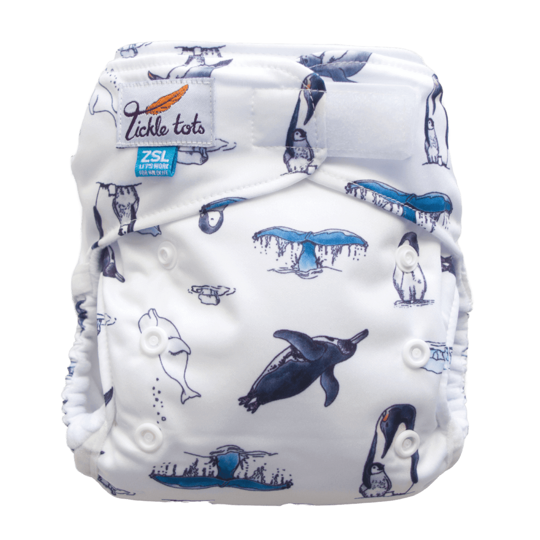 Tickle Tots All-In-Two Nappy Colour: Polar reusable nappies Earthlets